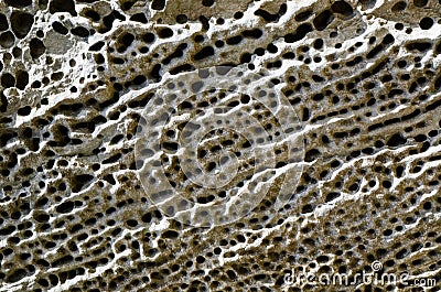 Pumice, Lava rock Stone texture full of holes and abstract pattern. Stock Photo