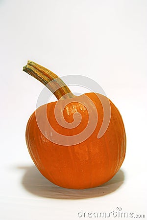 Pumkin Stock Photo