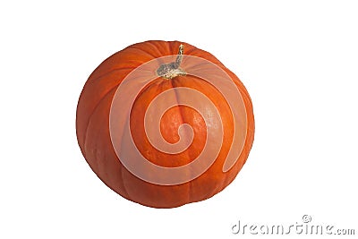 Pumkin Isolated. Stock Photo