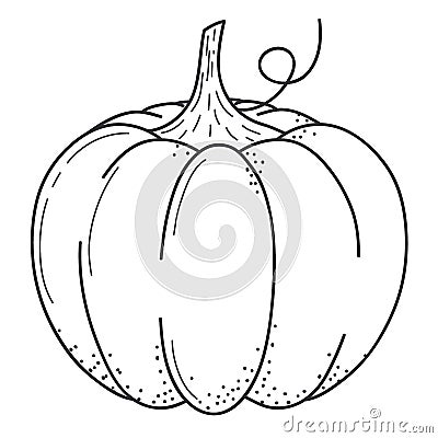 Pumkin scketch. Doodle style. Line art. Vector Illustration