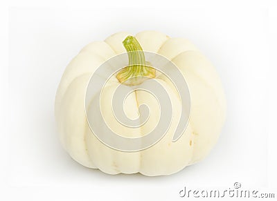 Pumkin. Stock Photo