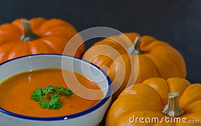 Pumpkin soup and row of pumkins Stock Photo