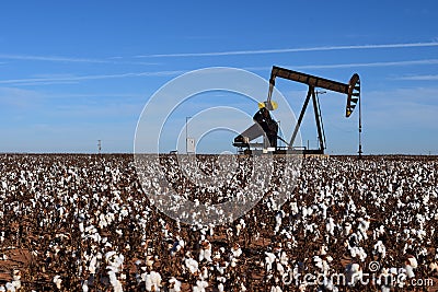 Llano Estacado Oil and Cotton Stock Photo