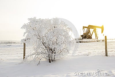 Pump jack in the sunrise light and the bush in snow in the oilfield Stock Photo