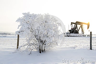 Pump jack in the sunrise light and the bush in snow in the oilfield Stock Photo