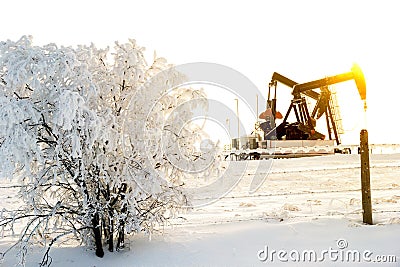 Pump jack in the sunrise light and the bush in snow in the oilfield Stock Photo
