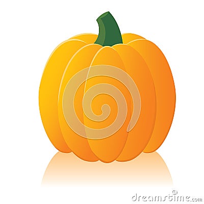 Pumpkin Vector Illustration