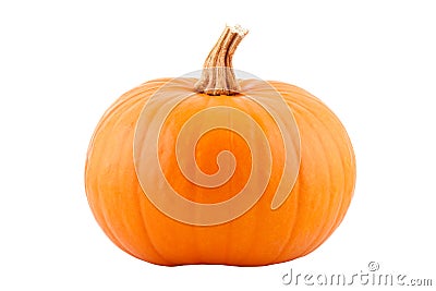 Pumpkin Stock Photo