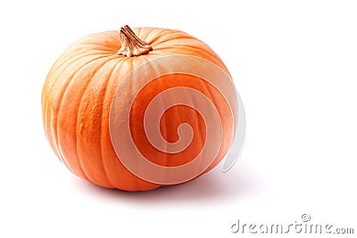 Pumpkin Stock Photo