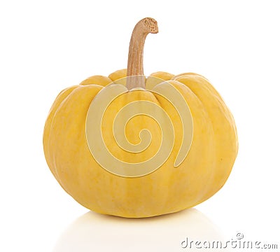 Pumpkin Stock Photo