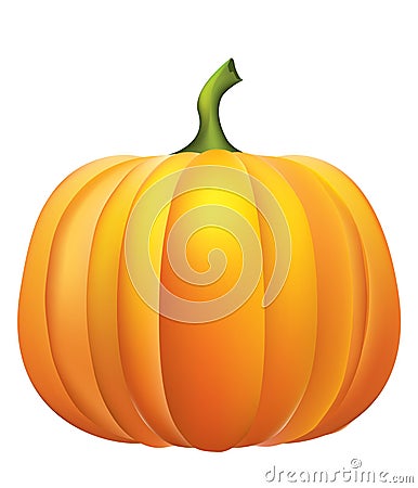 Pumpkin . Vector Illustration