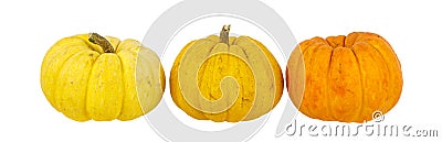 Pumpkin arrange in row isolated on white Stock Photo