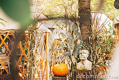 Pumpkin art in the park Stock Photo