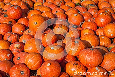 Pumpkin background Stock Photo