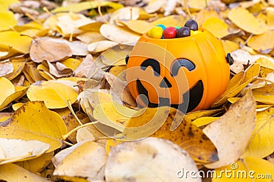 Pumpkin basket for Halloween, full of candy on the background of yellow fallen leaves. Stock Photo