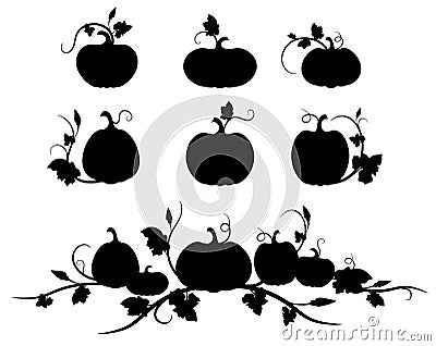 Pumpkin. Black silhouette. Isolated silhouette vegetable, leaves, flower and seeds. Vector Illustration