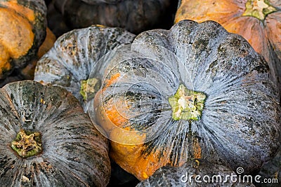 Big pumpkin close up Stock Photo