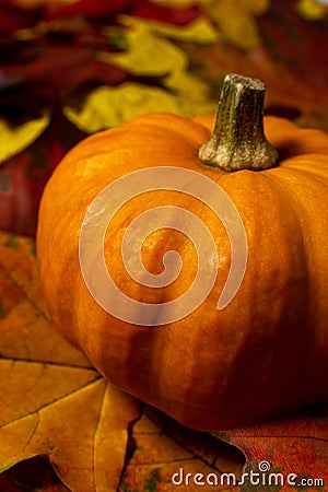 Pumpkin clouse up Stock Photo