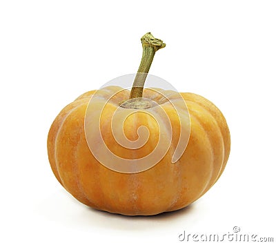Pumpkin. Cooking pumpkin or apple pie and cookies for Thanksgiving and autumn holidays. Pumpkins isolated on white Stock Photo