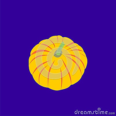pumpkin on dark background flat vector illustration Vector Illustration