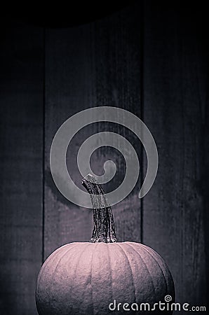 Pumpkin with dark wood background Stock Photo