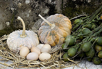 Pumpkin and eggs Stock Photo