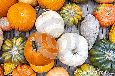 Pumpkin Fall Food Sunset Time Stock Photo