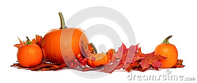 Pumpkin and fall leaves border isolated on white Stock Photo
