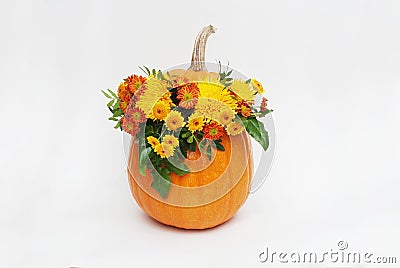 Pumpkin autum ncolorful flower arrangement on white background. Isolated. Stock Photo