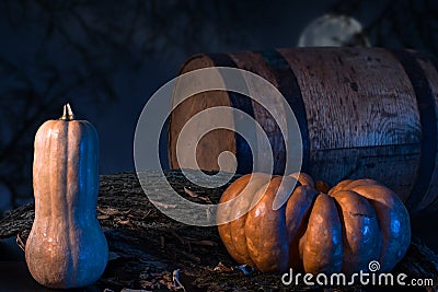 Pumpkin In A Forest At Night Stock Photo