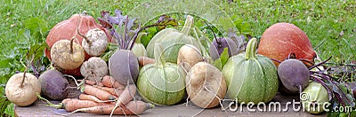 Pumpkin garlic zucchini turnip Stock Photo