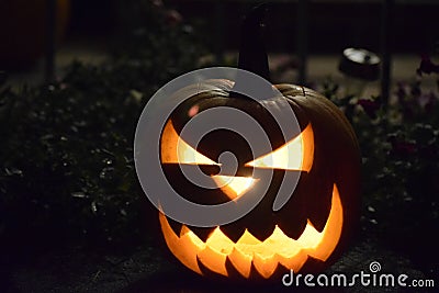 Pumpkin glow Stock Photo