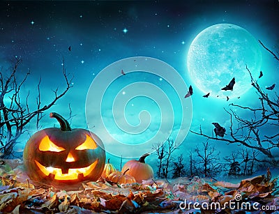 Pumpkin Glowing At Moonlight In The Spooky Forest Stock Photo