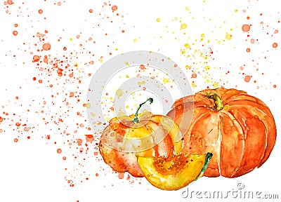 Pumpkin. Hand drawn watercolor painting on isolated background. Vegetable engraved style illustration.Piece of pumpkin with seeds. Cartoon Illustration