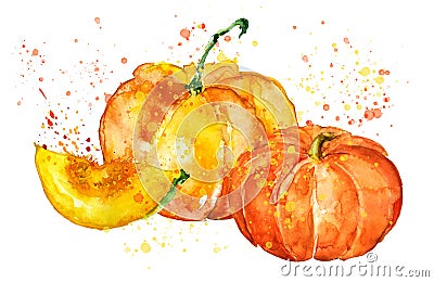 Pumpkin. Hand drawn watercolor painting on isolated background. Vegetable engraved style illustration.Piece of pumpkin with seeds. Cartoon Illustration