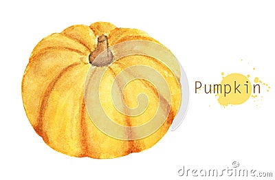 Pumpkin. Hand drawn watercolor painting on white background Stock Photo