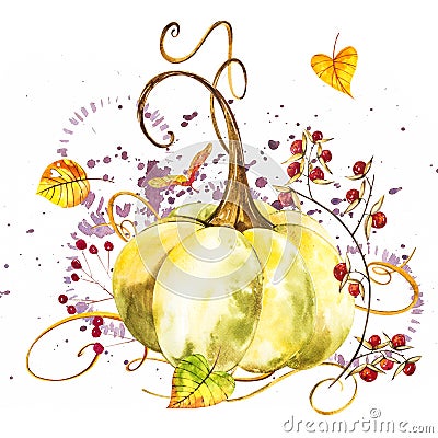 Pumpkin. Hand drawn watercolor painting on white background. Watercolor illustration with a splash. Cartoon Illustration