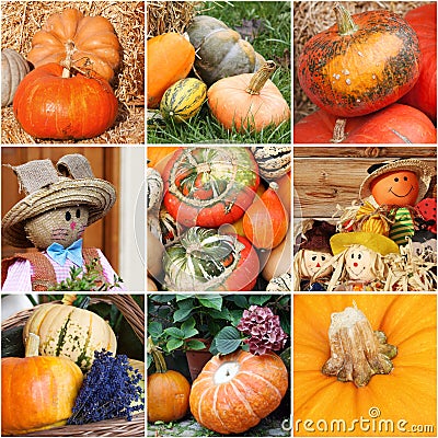 Pumpkin harvest collage Stock Photo