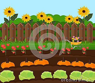 Pumpkin harvest garden Vector. Countryside backgrounds illustration Vector Illustration