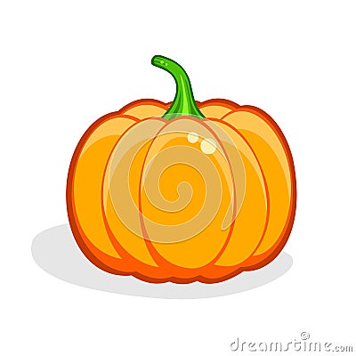 Pumpkin. Harvest Thanksgiving vector illustration Vector Illustration