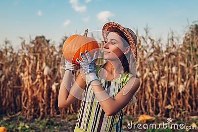 Pumpkin harvest. Young woman farmer picking autumn crop of pumpkins on farm. Agriculture. Thanksgiving and Halloween Stock Photo