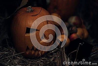 Pumpkin heads and autumn props wooden background Stock Photo