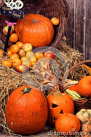 Pumpkin heads and autumn props wooden background Stock Photo