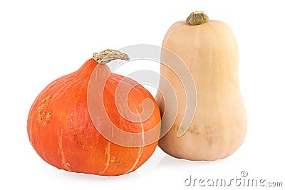 Pumpkin hokkaido and butternut Stock Photo