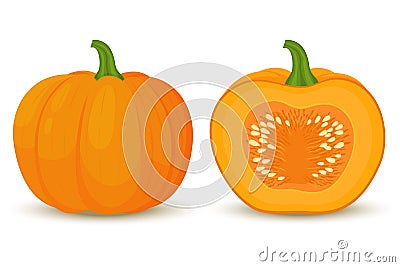 Pumpkin icons, whole and half with seeds inside. Vector illustration, flat cartoon style Vector Illustration