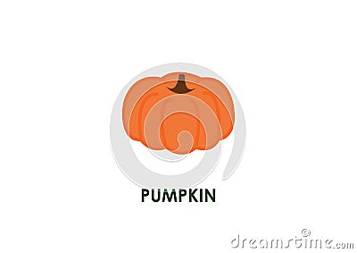 Pumpkin Vector Illustration