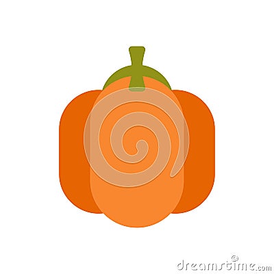 Pumpkin isolated. Large Fresh Traditional Halloween Vegetable Vector Illustration