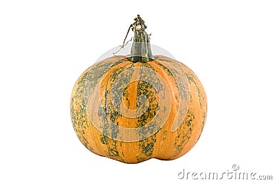 A pumpkin isolated on white Stock Photo