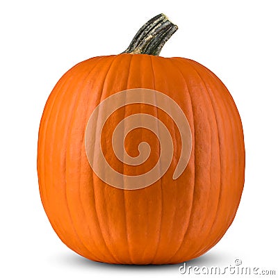 Pumpkin large size. Pumpkins good for Autumn season still Life composition. Concept for Thanksgiving or Halloween. Stock Photo