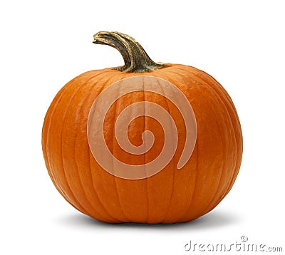 Pumpkin Stock Photo